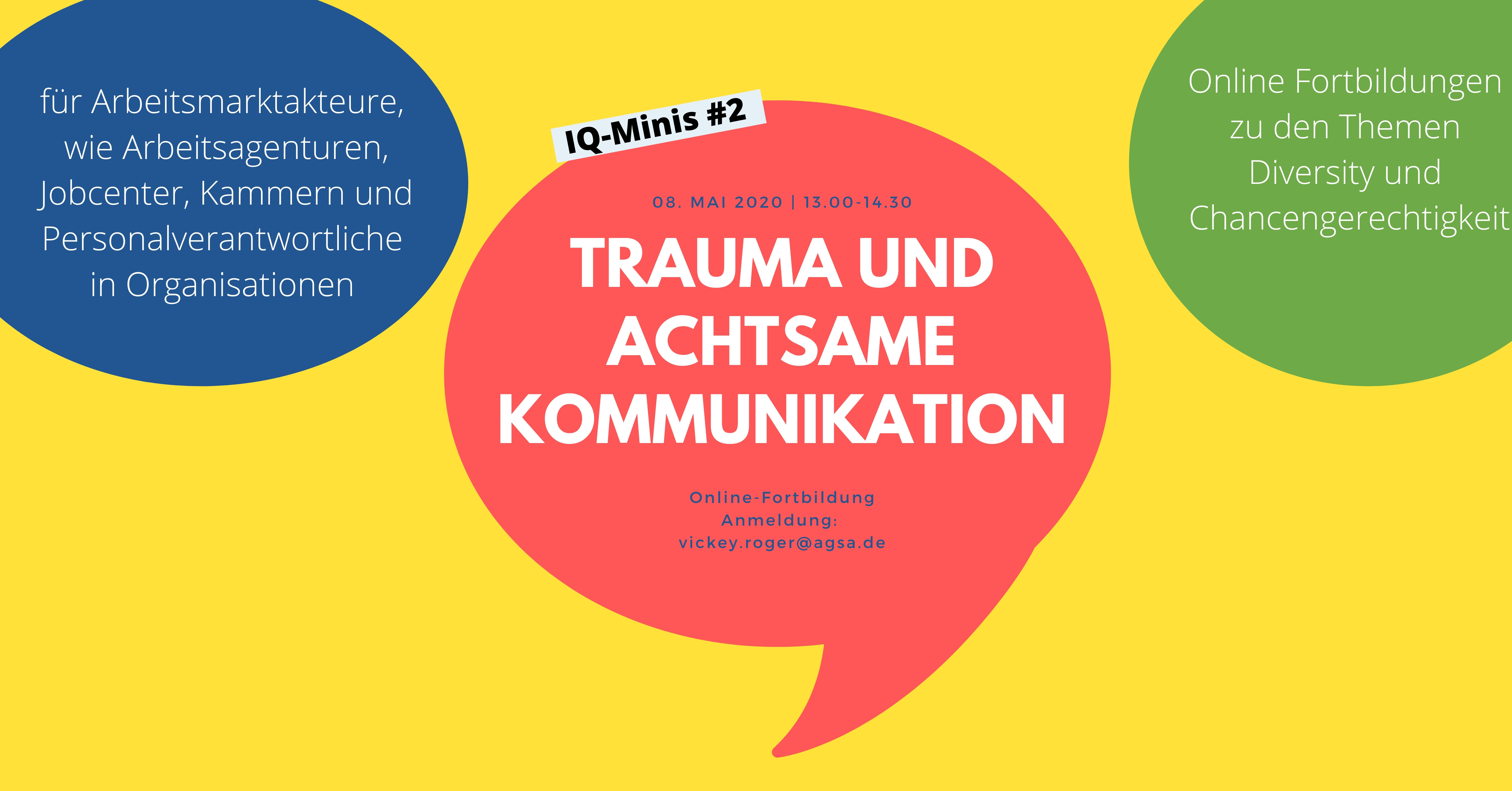 IQ Mini Trauma