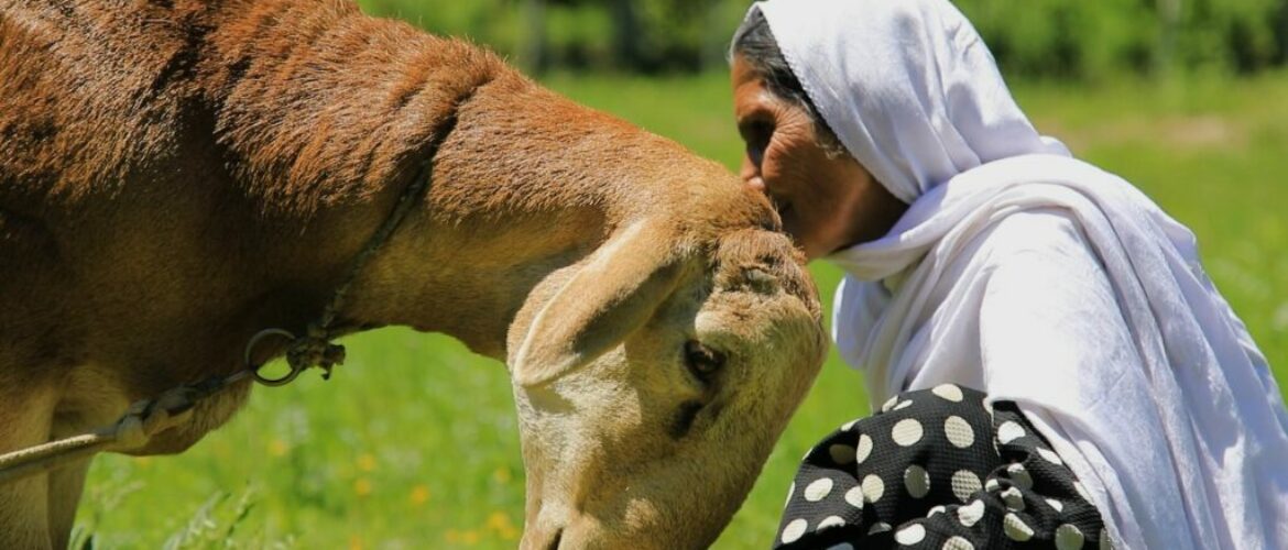 Offener Kanal Film Afghanistan 1170x500
