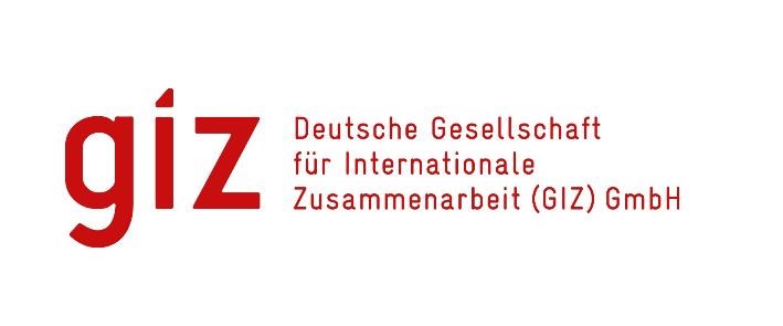 GIZ-Logo-100kb.jpg