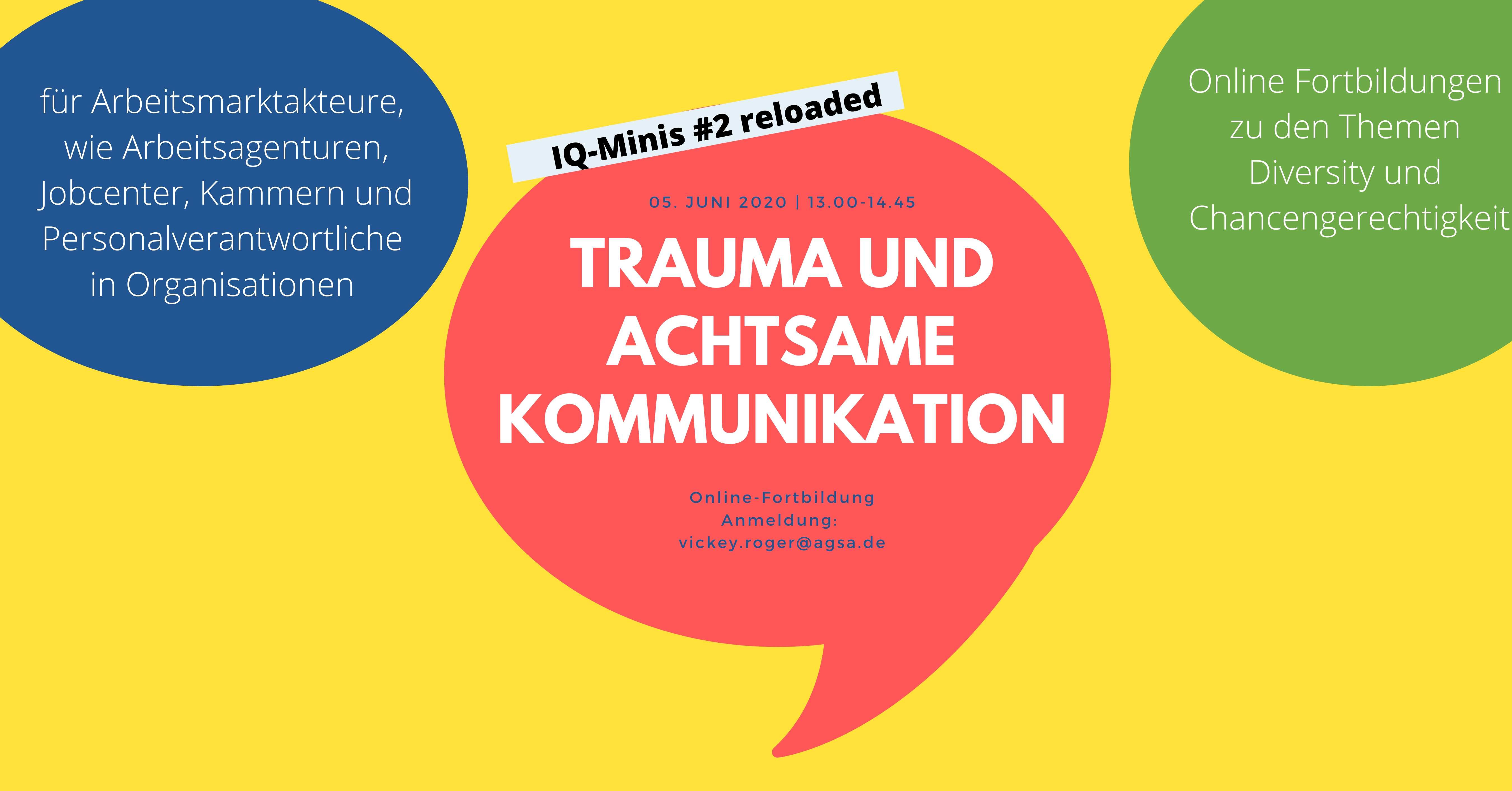 IQ Mini Trauma 1